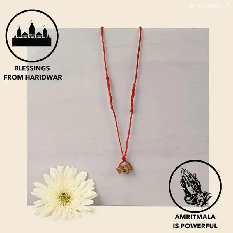 AMRITMALA PURE HERB